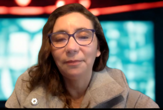 Pilar Mansilla Sociologa 1